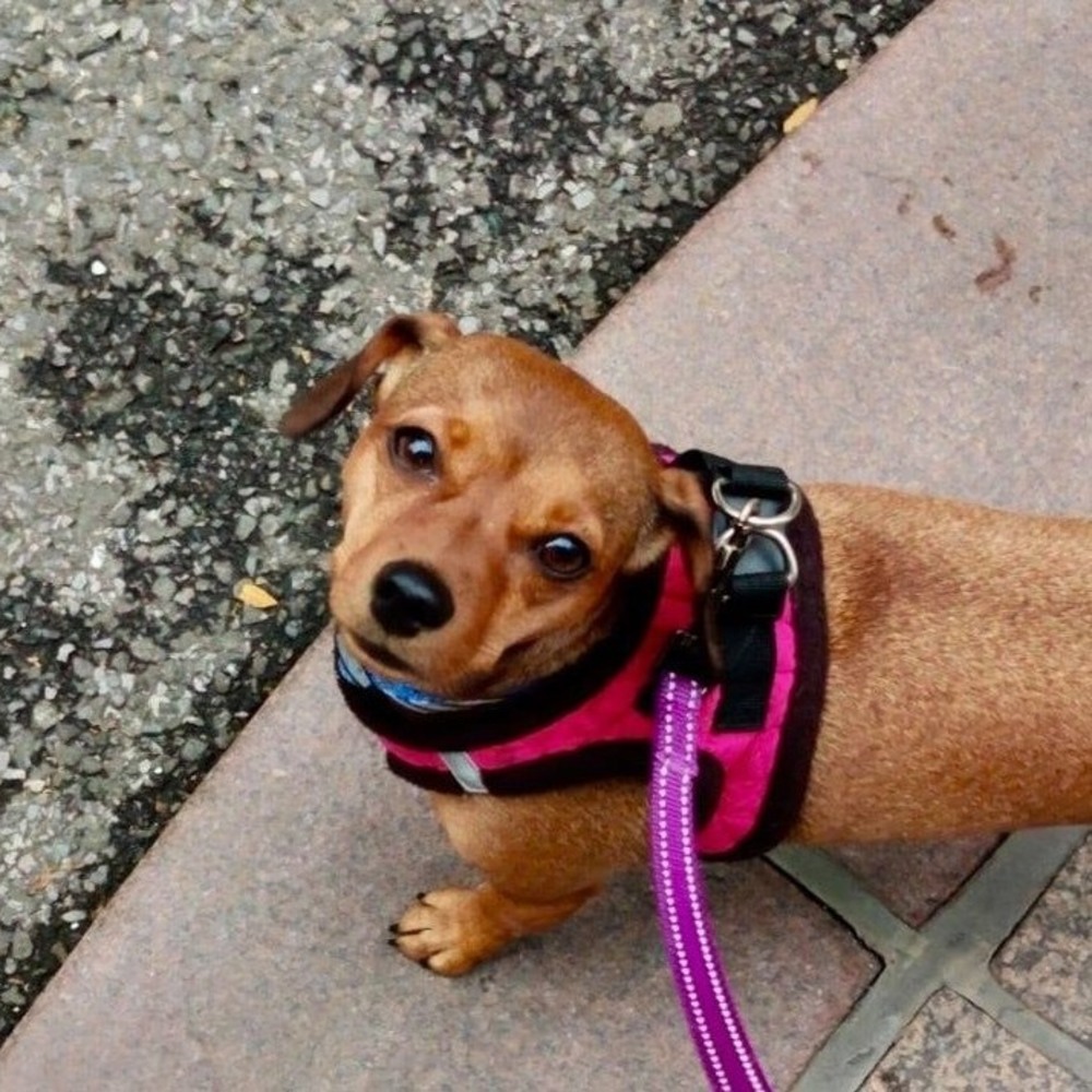 Meet your Posher, Jan